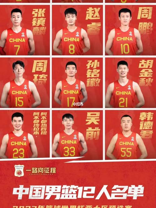 中国男篮12人名单详细