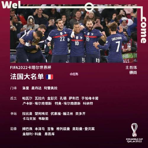 法国欧洲杯名单